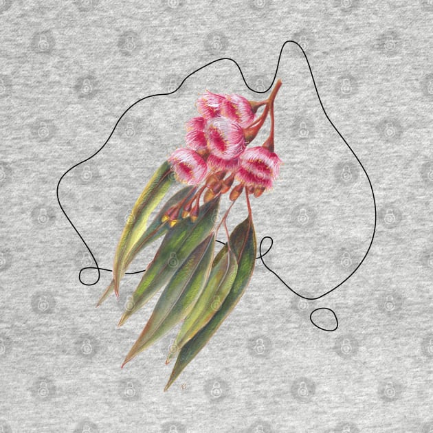 Flowers of Australia - Pink Flowering Gum by VioletGrant